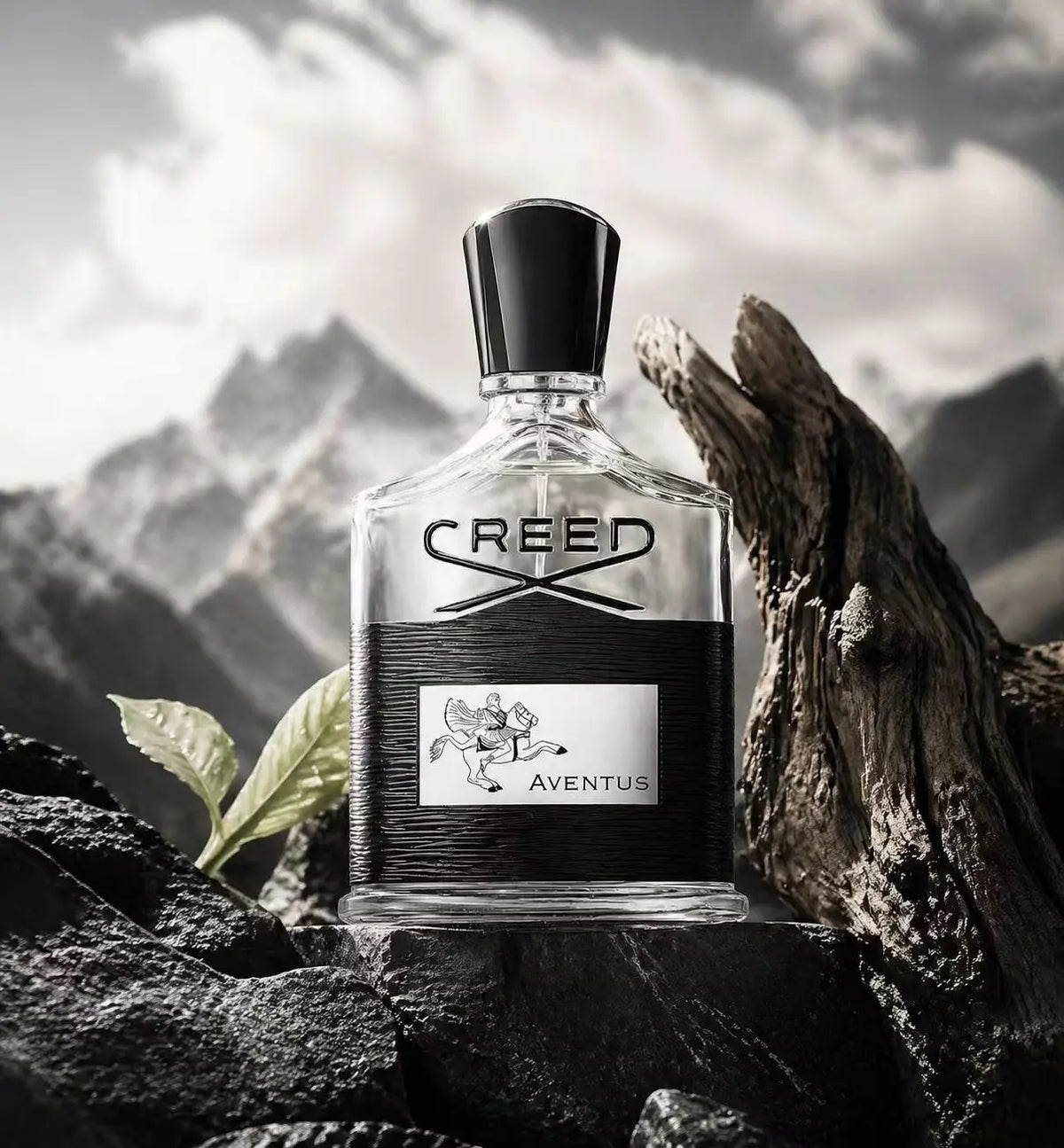 Creed Aventus Men's Cologne